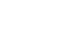 shape-08-1.png